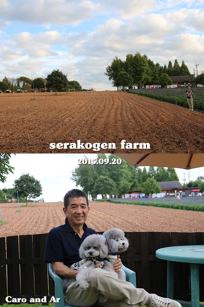 世羅高原農場・・・体験編♪