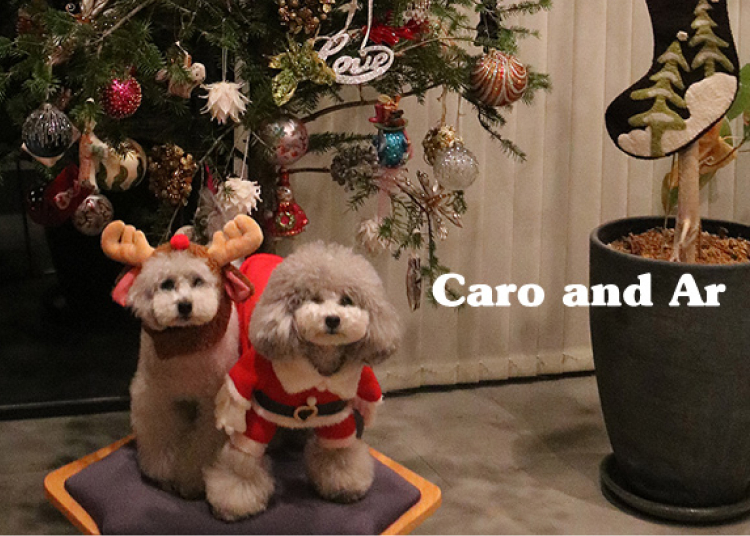 メリークリスマス♪