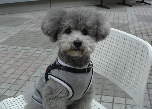 ひと休み