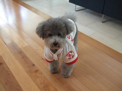 RED SOX