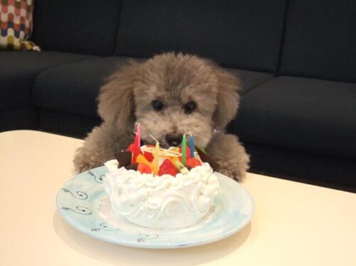 ☆HAPPY BIRTHDAY☆