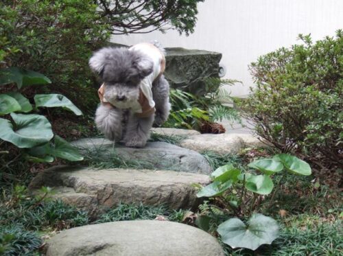 春が来たよ～～♪