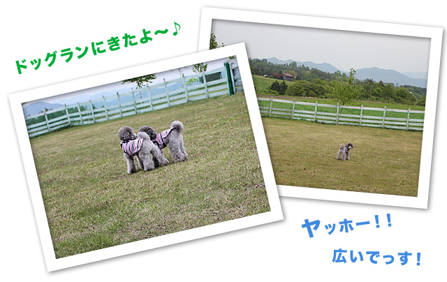 楽しい日曜日♪