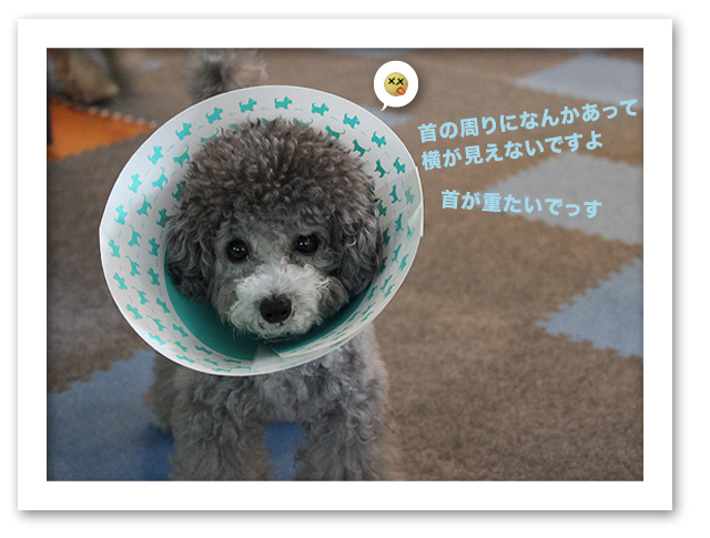 初めての体験 ! !