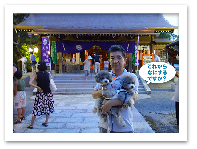 賀茂神社に行ってきたよ