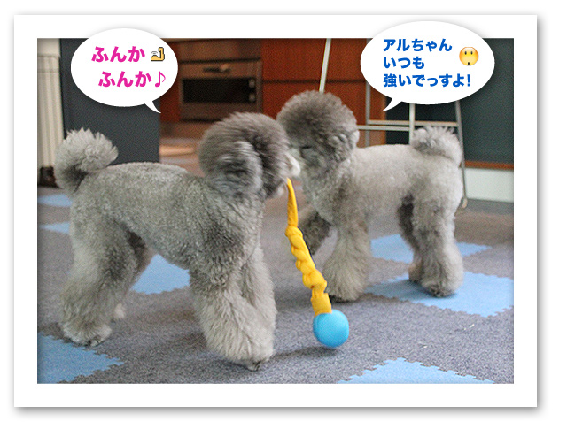 いつもの朝・・・♪