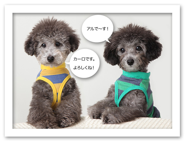よろしくおねがいします
