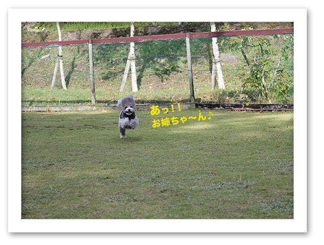 「体育の日」つ・づ・き♪