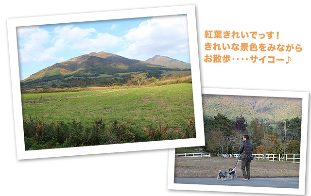 「蒜山に行ってきたよ〜♪」つづき