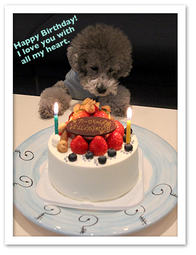 カーロ、お誕生日おめでとう！
