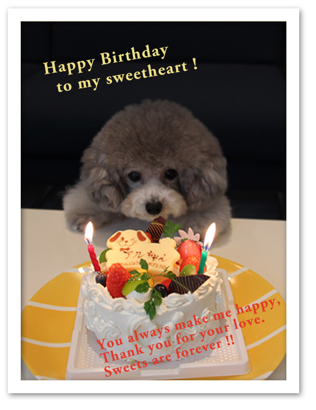 アル、お誕生日おめでとう♪