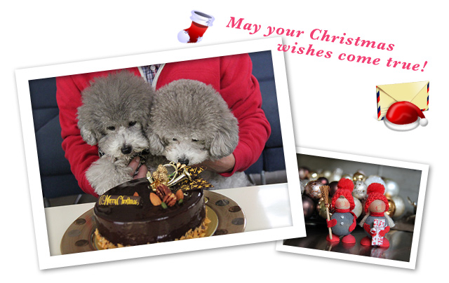 クリスマスイブ♪♪