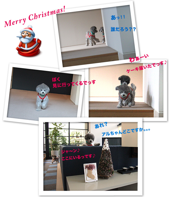 Merry Christmas!