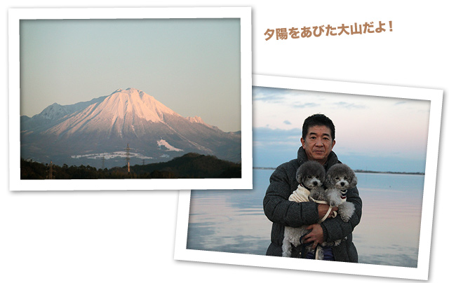 きれいだったよ！！