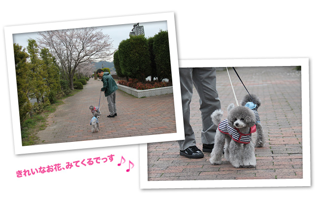 「ラン展」に行ってきたよ♪