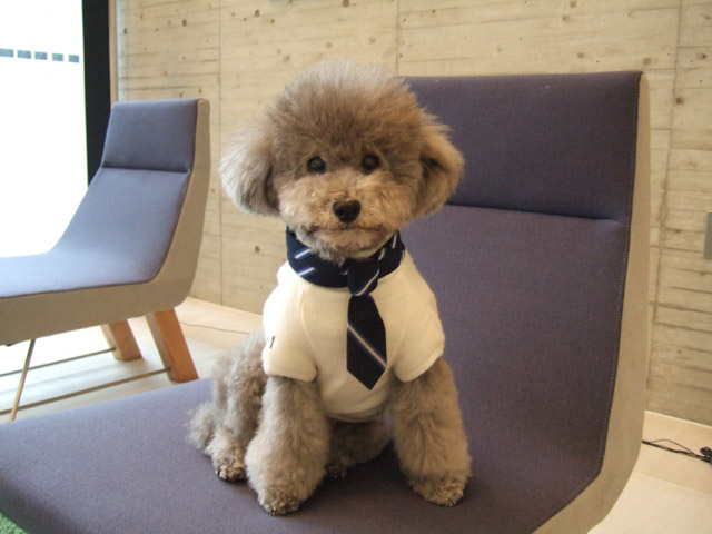 オシャレ♪