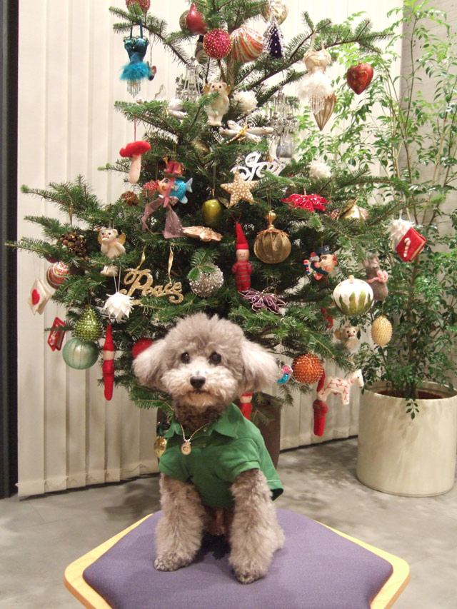 ☆ Christmas Tree ☆