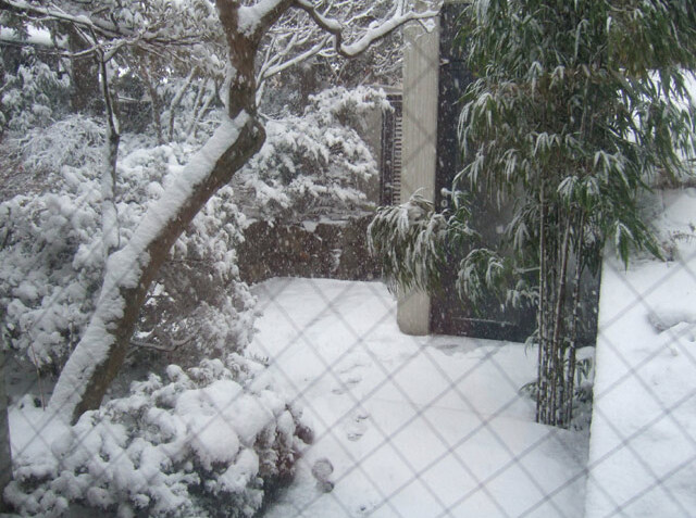 雪‥‥☆