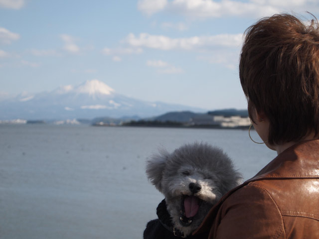 きのうの…お・ま・け