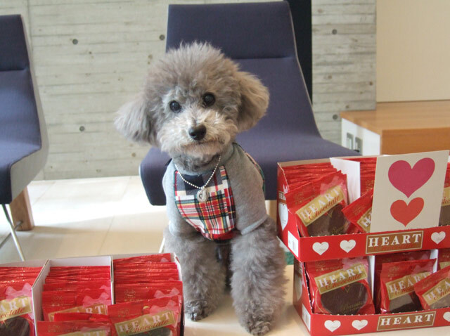 ☆Happy Valentine's Day☆