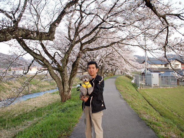 今年の桜‥‥Part2