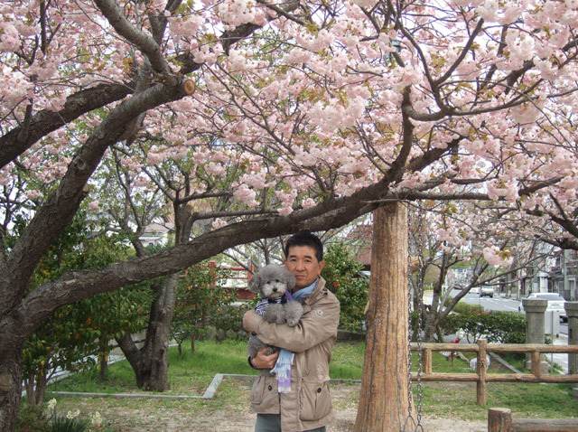 今年最後のお花見☆
