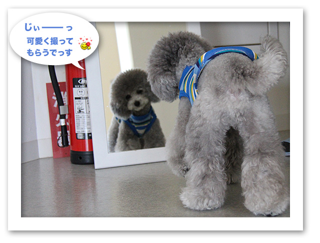 写真が出来上がりました〜♪