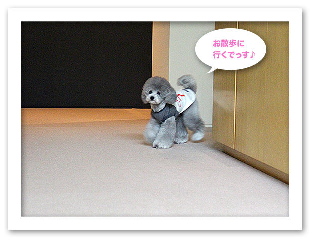 ご機嫌のはずが・・・まさか！