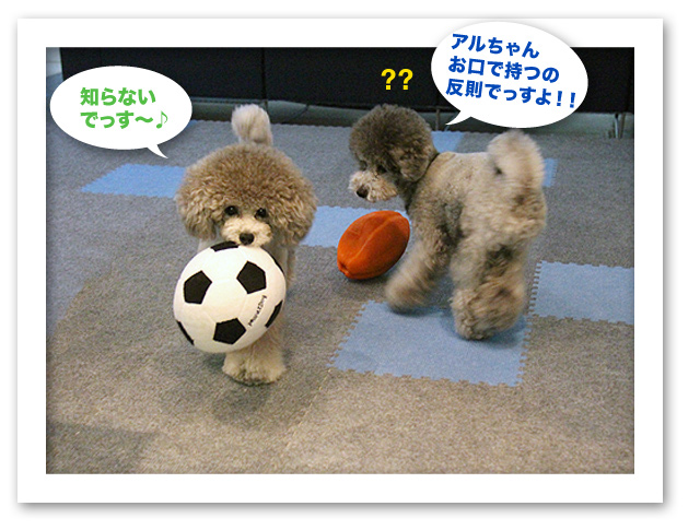 あっちいね〜！