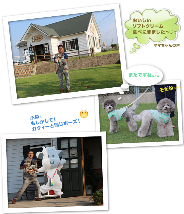 「カウィーのみるく館」in 琴浦
