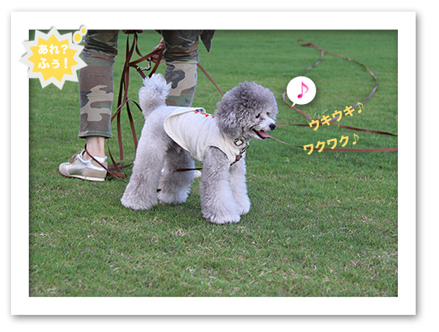アルの「倍返し」！
