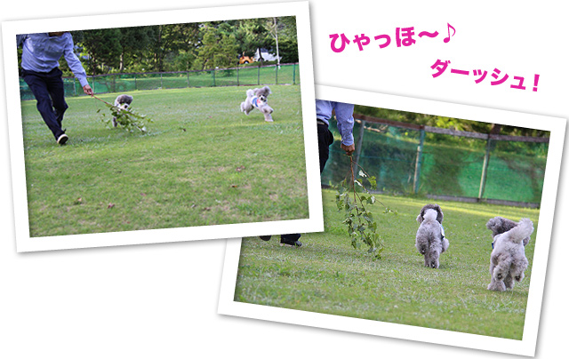 カーロの変身〜！