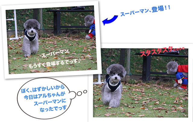 HAPPY HALLOWEEN ♪♪