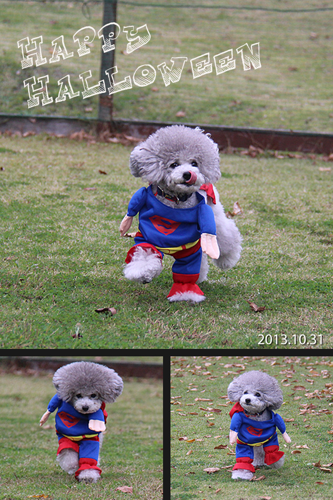 HALLOWEEN ♪♪