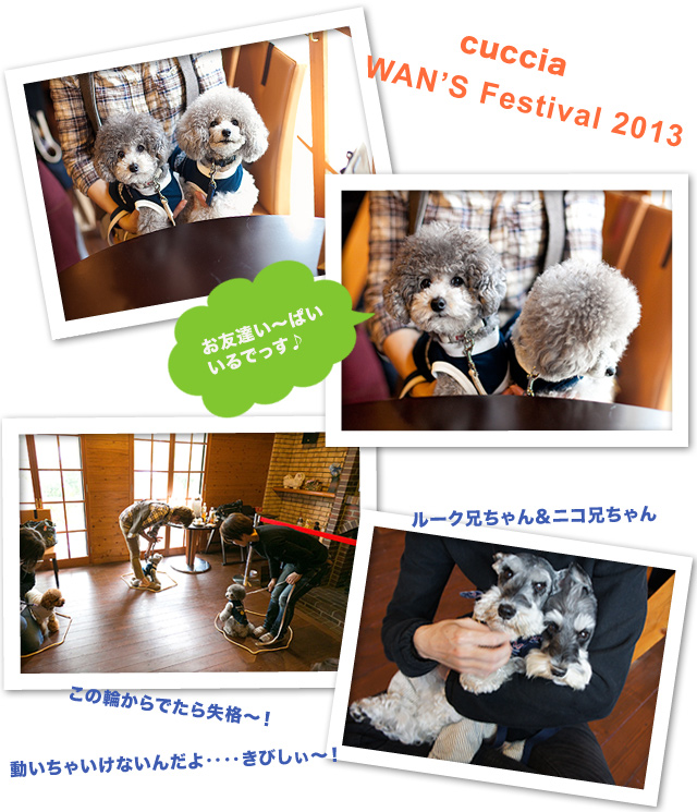 WAN'S フェスティバル