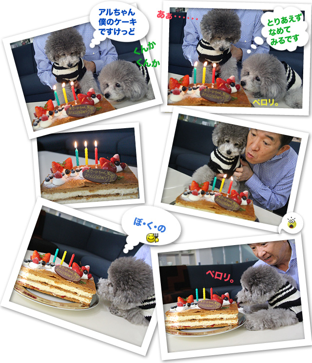 カーロ、お誕生日おめでとう！