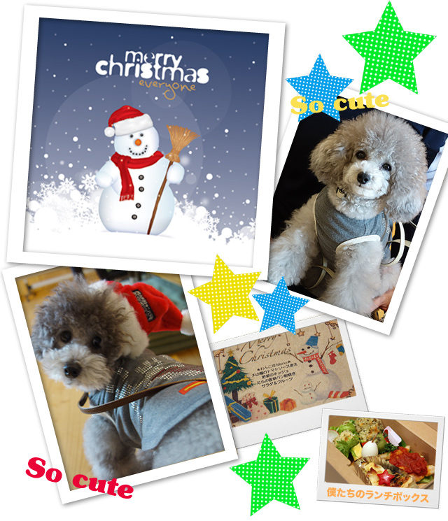 X'mas Party ☆ 2013 ☆