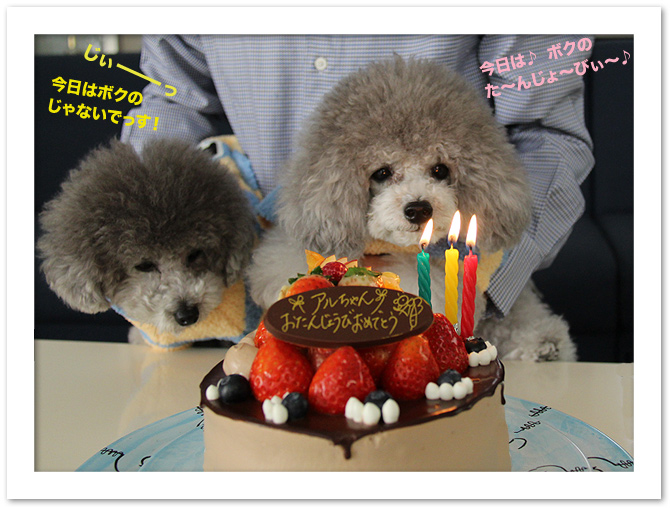 アル、お誕生日おめでとう♪