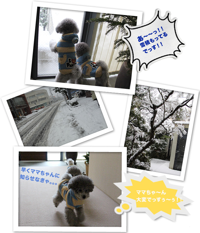 cucciaさんへ行ってきたよ〜♪