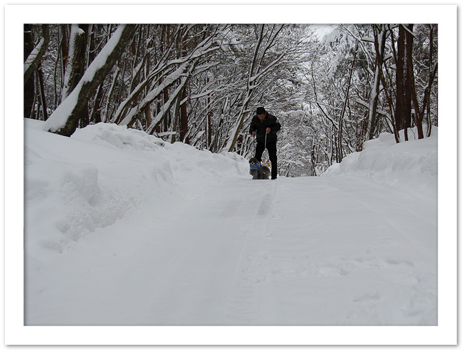 雪道探検だ〜い！！