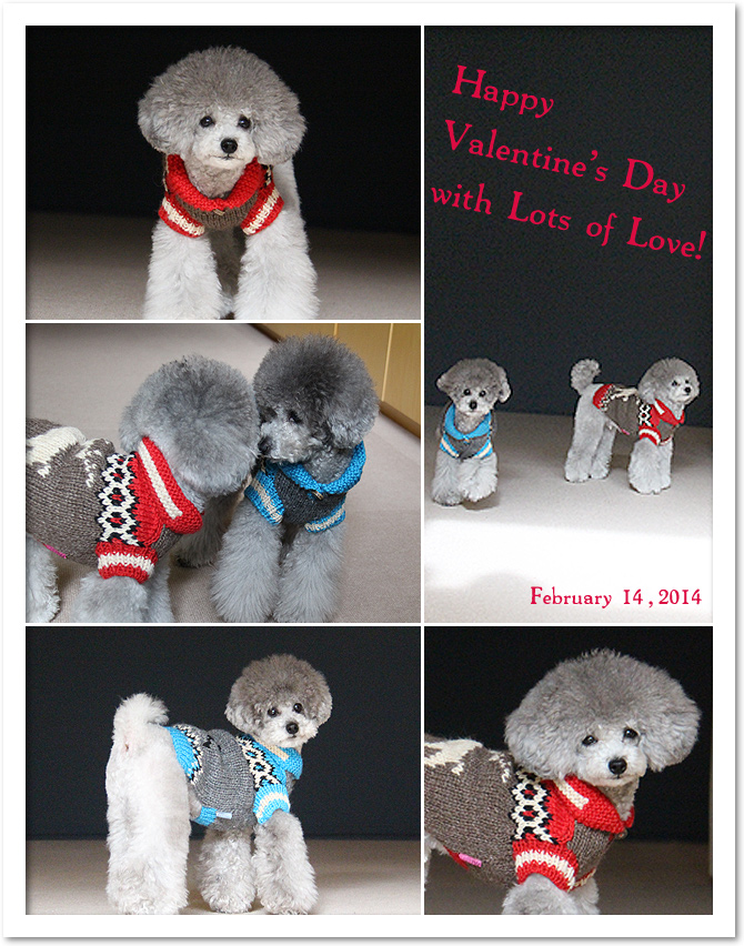 Valentine's Day ♪♪