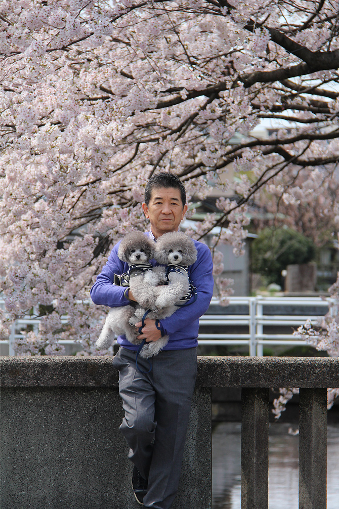 桜　桜　桜 ・・・♪