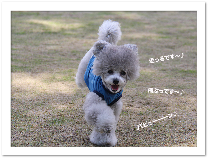 新緑のもと・・・run♪ run♪
