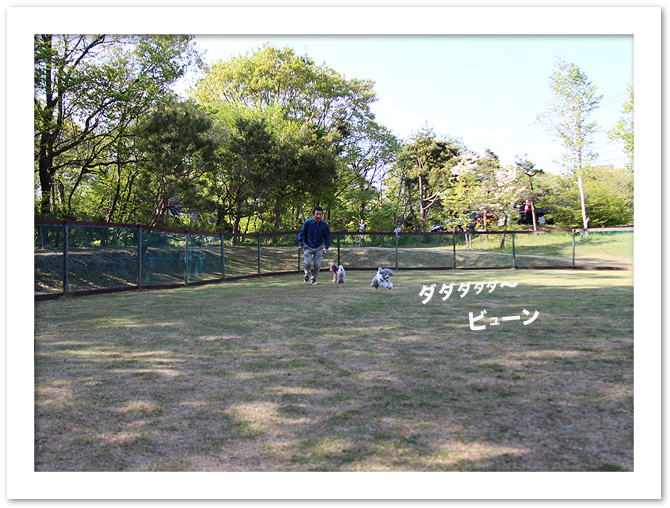 飛ぶよ♪　飛ぶよ♪