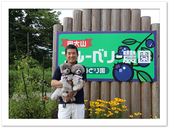 ブルーベリー農園♪