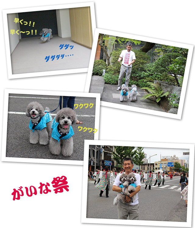 お祭りだ〜♪♪
