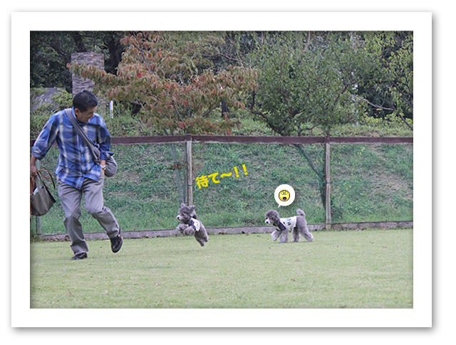 院長、泥棒と違います！