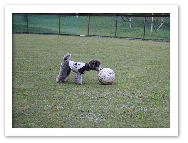 サッカーしたよ