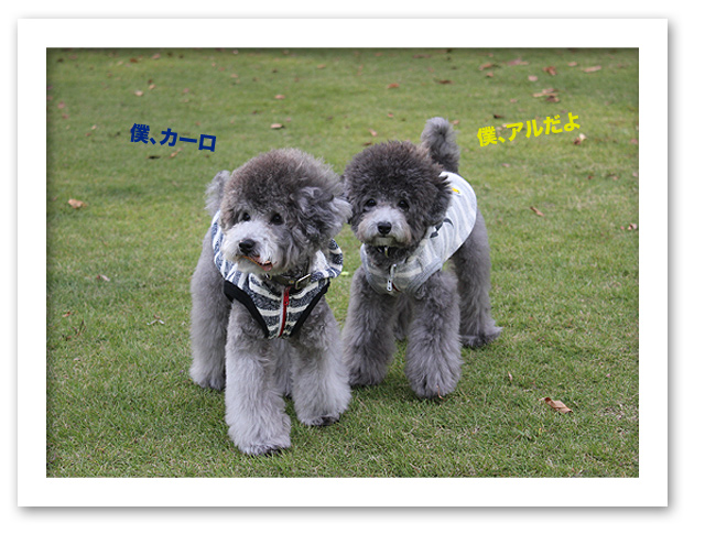 僕たち、いつも一緒だよ