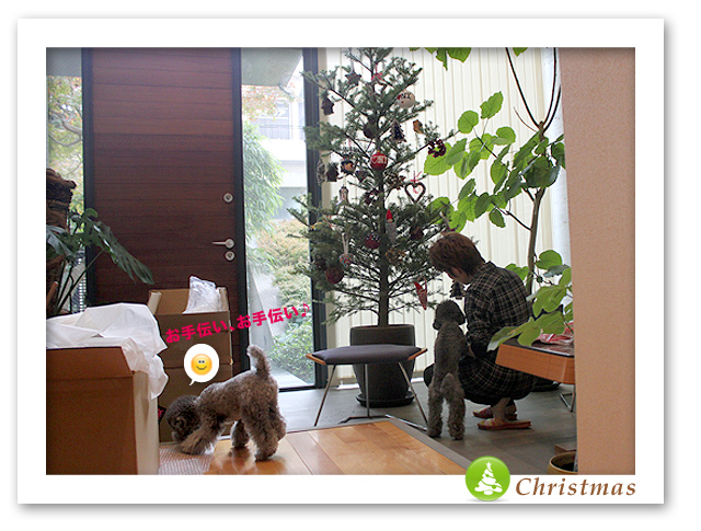 クリスマスツリー飾ったよ